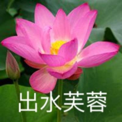 奇怪的平台3手机版游戏下载